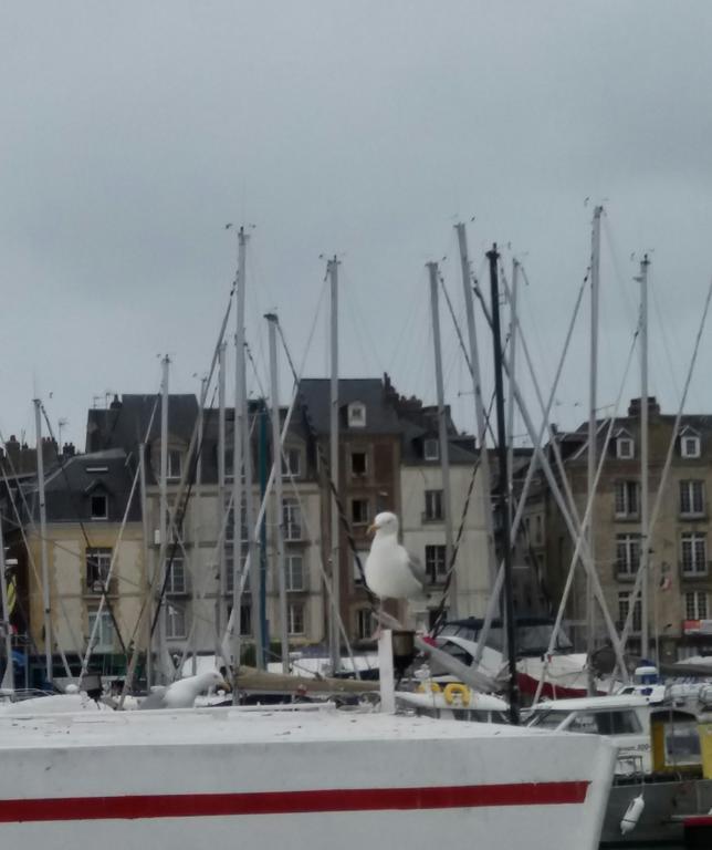 Egg Hotel - Hotel Les Gens De Mer Dieppe Exterior photo